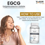 Thumbnail for Vokin Biotech EGCG from Green Tea Leaf Extract 500mg EGCG - Antioxidant Support – 90 Capsules