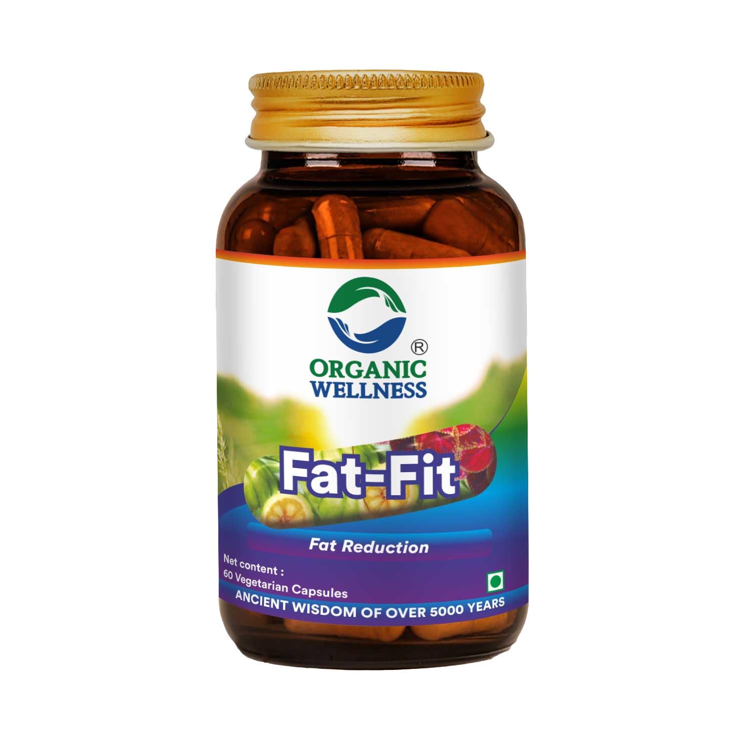 Organic Wellness Fat-Fit - Distacart