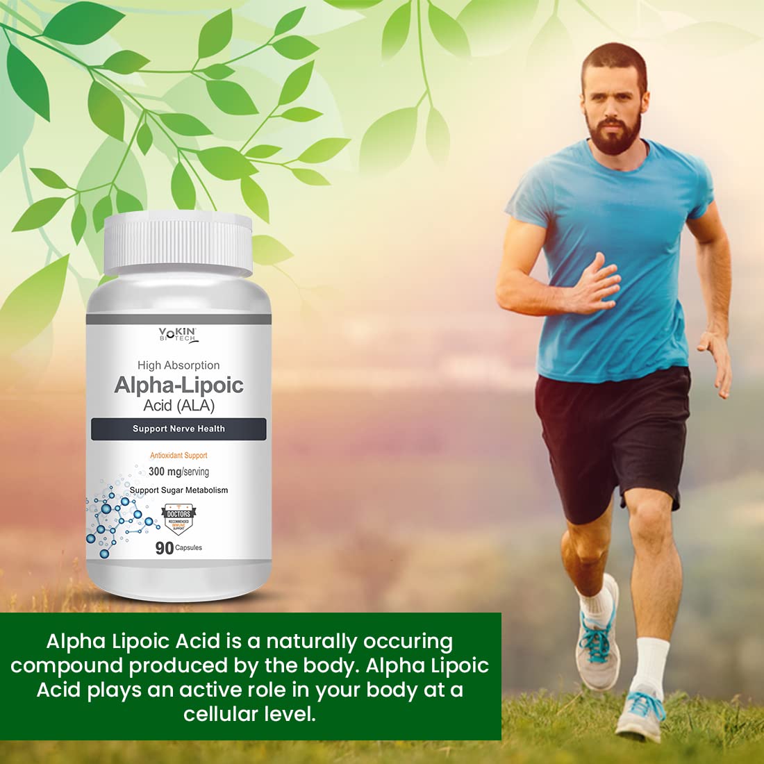 Vokin Biotech Alpha Lipoic Acid (ALA) 300 mg- Support Nerve Health & Sugar Metabolism (90 Capsules))