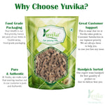 Thumbnail for Yuvika Pipla Mool Dampa | Piplamool | Peepla Mool