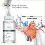 Thumbnail for Vokin Biotech Garlic Extract 1:13 Allium Sativum - 500mg, Support Blood Pressure and Heart Health (90 Capsules)