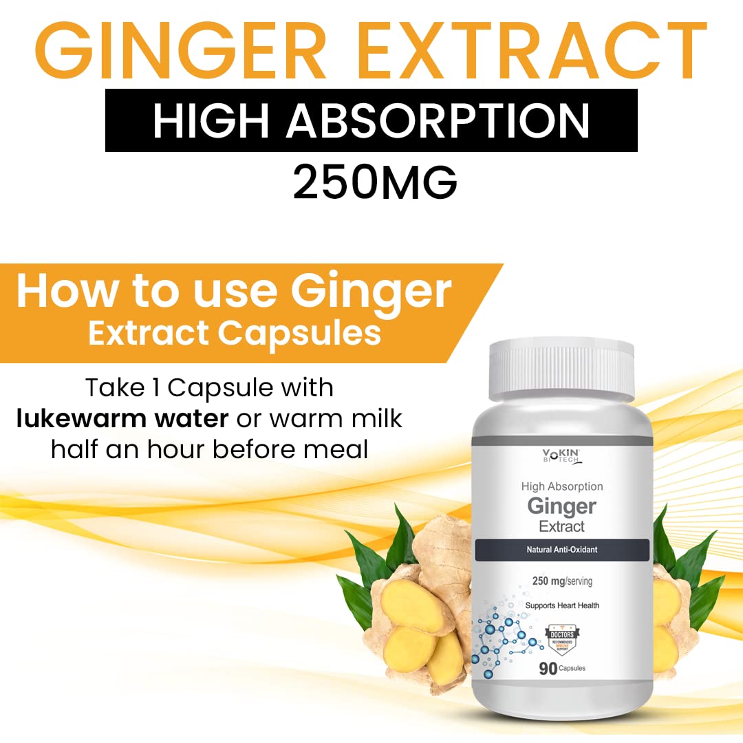 Vokin Biotech Ginger Extract 5% Gingerols Natural Digestion Supplement - Improve Gastrointestinal Health 90 Veg Capsules
