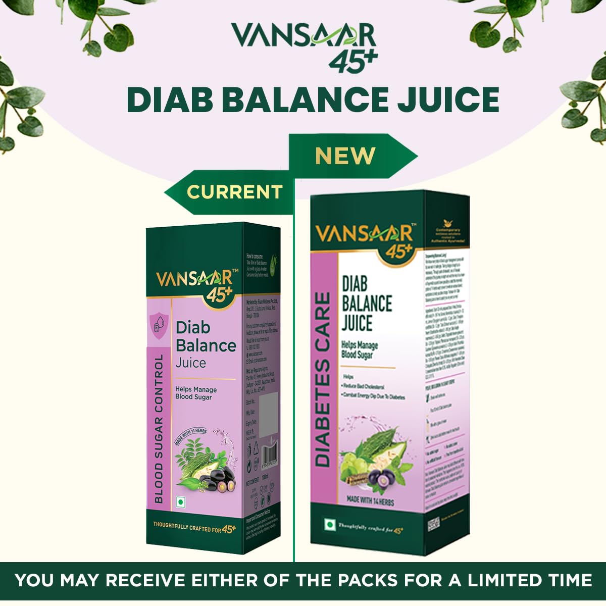 Vansaar 45+ Diab Balance Juice - Distacart