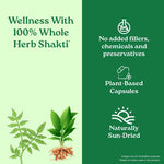 Thumbnail for Organic India Prostate Care 60 Capsules