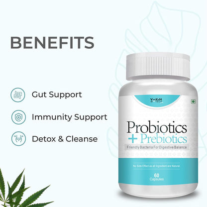 Vokin Biotech Probiotics+ Prebiotics Supplement 50 Billion Cfu For Women & Men With Prebiotics 150 mg | Probiotic Capsules For Digestion Support, Gut Health And Immunity – 60 Veg Capsules