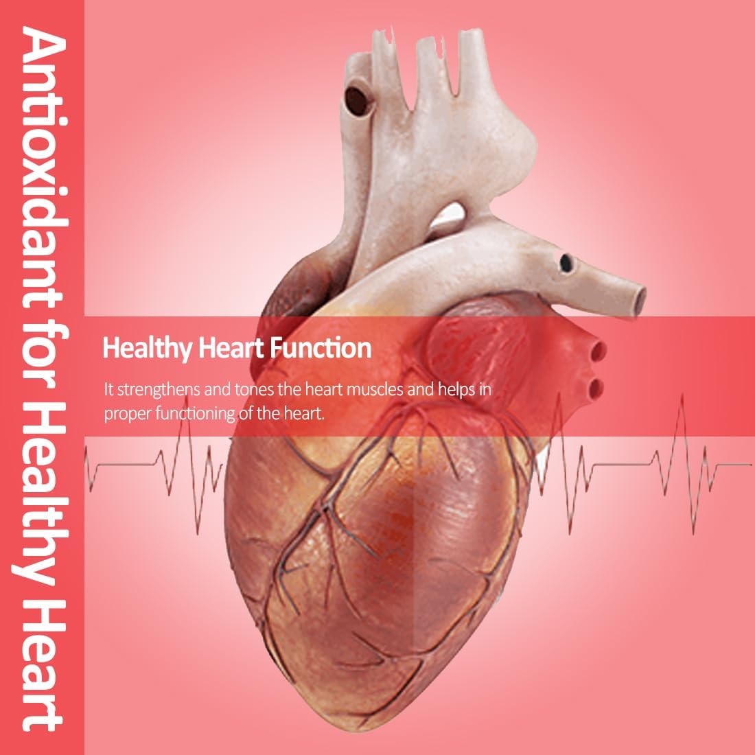Vokin Biotech Nutritional_Supplement