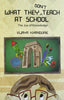 What They Don’t Teach at School - Vijaya Khandurie - Dista