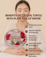 Thumbnail for SAUDEEP INDIA Vastu Feng Shui Crystal Turtle Tortoise with Plate - Dista