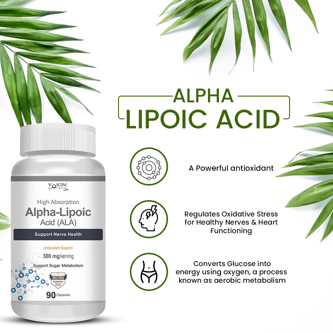 Vokin Biotech Alpha Lipoic Acid (ALA) 300 mg- Support Nerve Health & Sugar Metabolism (90 Capsules))