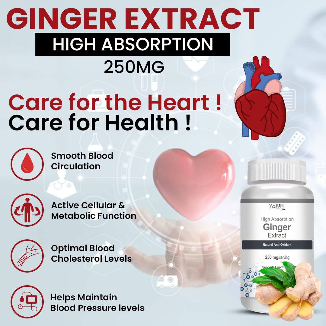Vokin Biotech Ginger Extract 5% Gingerols Natural Digestion Supplement - Improve Gastrointestinal Health 90 Veg Capsules