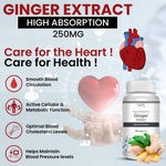 Thumbnail for Vokin Biotech Ginger Extract 5% Gingerols Natural Digestion Supplement - Improve Gastrointestinal Health 90 Veg Capsules