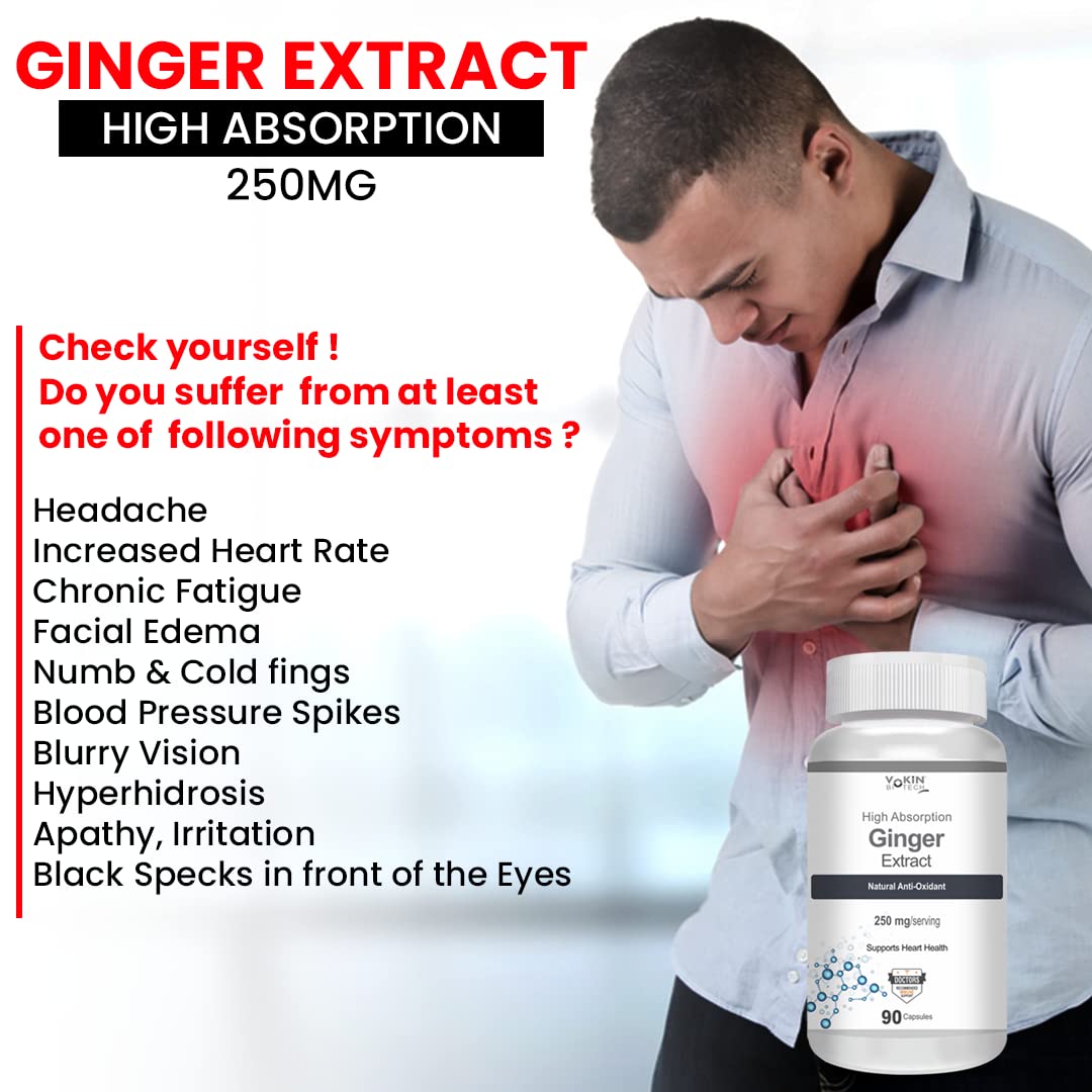 Vokin Biotech Ginger Extract 5% Gingerols Natural Digestion Supplement - Improve Gastrointestinal Health 90 Veg Capsules