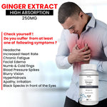 Thumbnail for Vokin Biotech Ginger Extract 5% Gingerols Natural Digestion Supplement - Improve Gastrointestinal Health 90 Veg Capsules