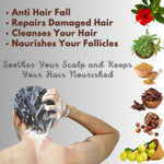 Thumbnail for Payal's Herbal Shampoo