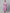 AURELIA Purple Ethnic motifs Self Design Embroidered Fit & Flare Ethnic Dress With Dupatta