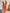 The52 Beautiful Women's Thread work Viscose Fabric Straight Kurta, Pant and Dupatta Set