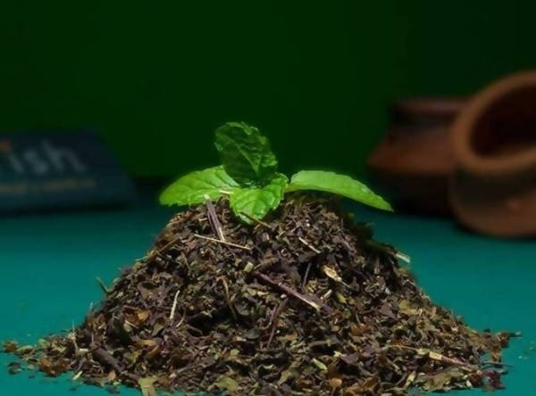 Adrish Organic Dried Tulsi Leaves - Distacart