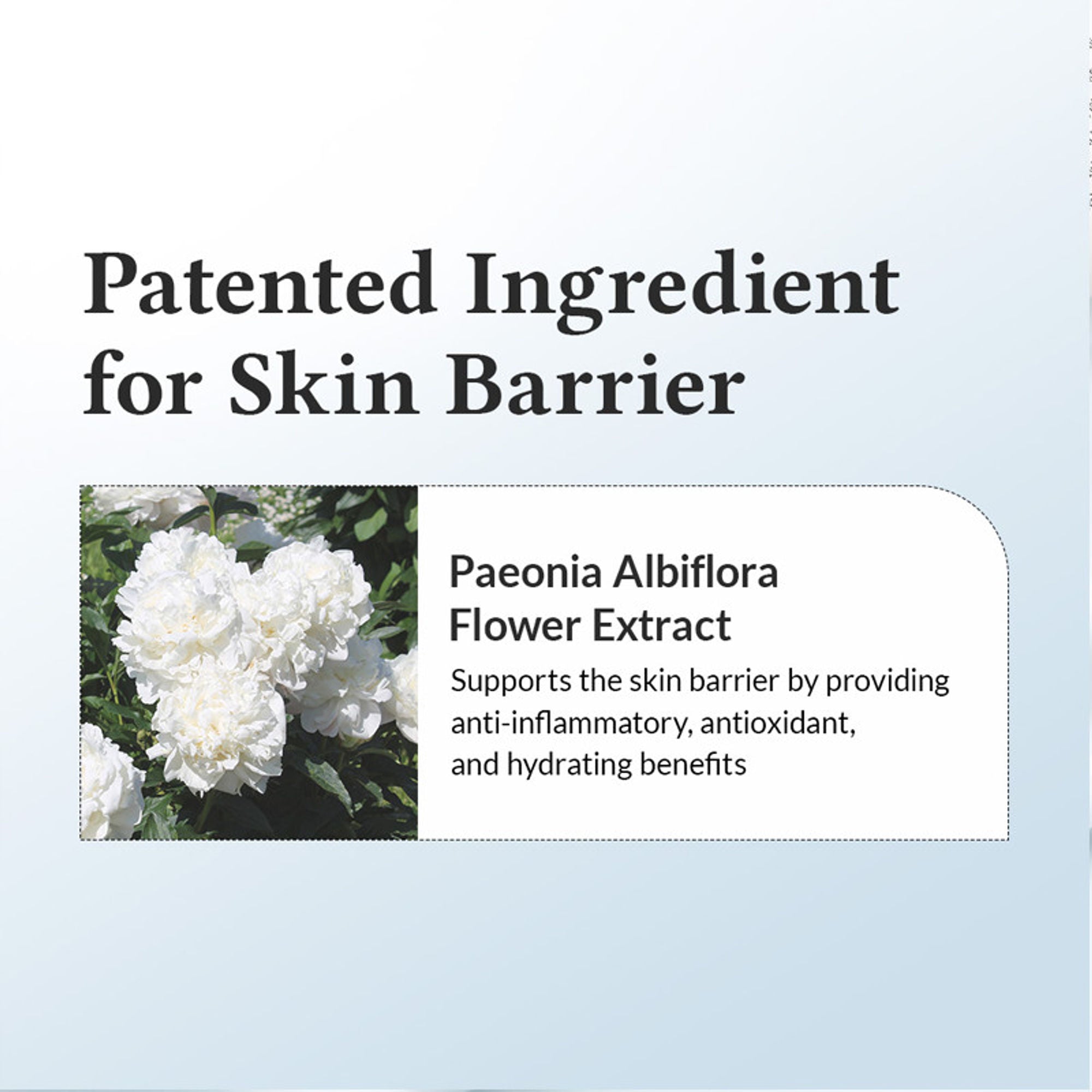 Dr.Althea 147 Barrier Cream: Rich Ceramide & hyaluronic acid infused cream for Damaged Skin Barrier - Distacart