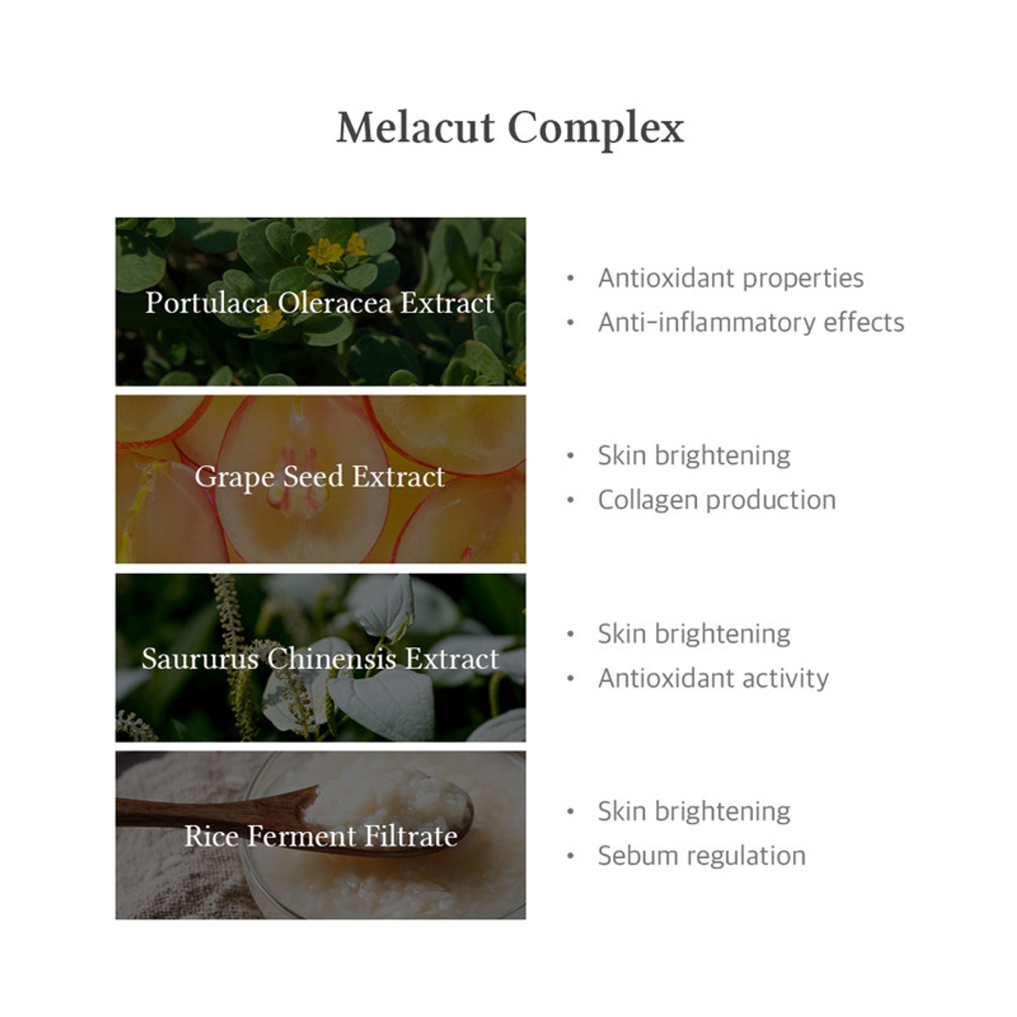 Dr.Althea 15% Niacinamide Purity Serum: High-Potency Serum for Oil Control & Pores - Distacart