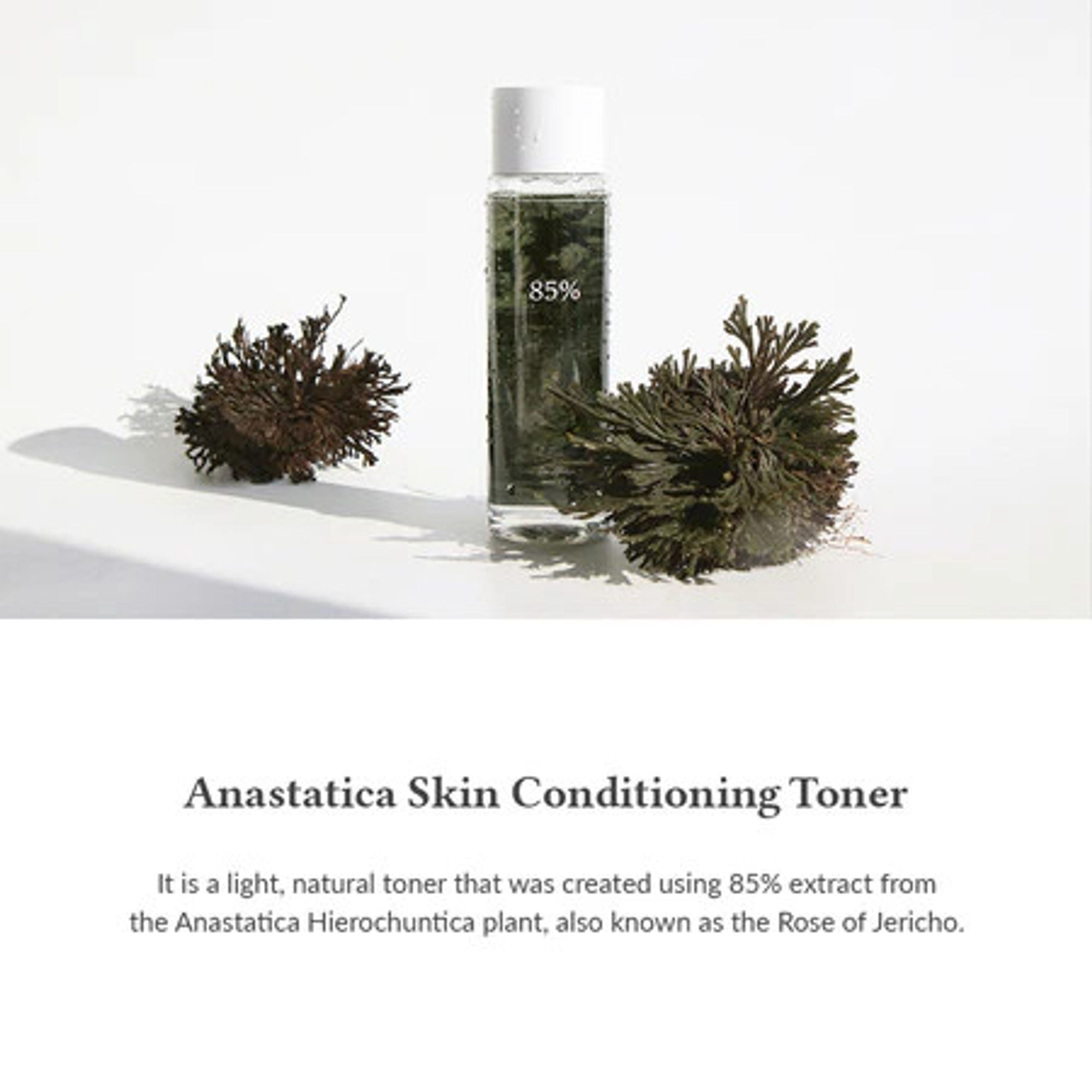 Dr.Althea Resurrection Plant Conditioning Toner: Hydrating & Skin Barrier Repair Toner - Distacart