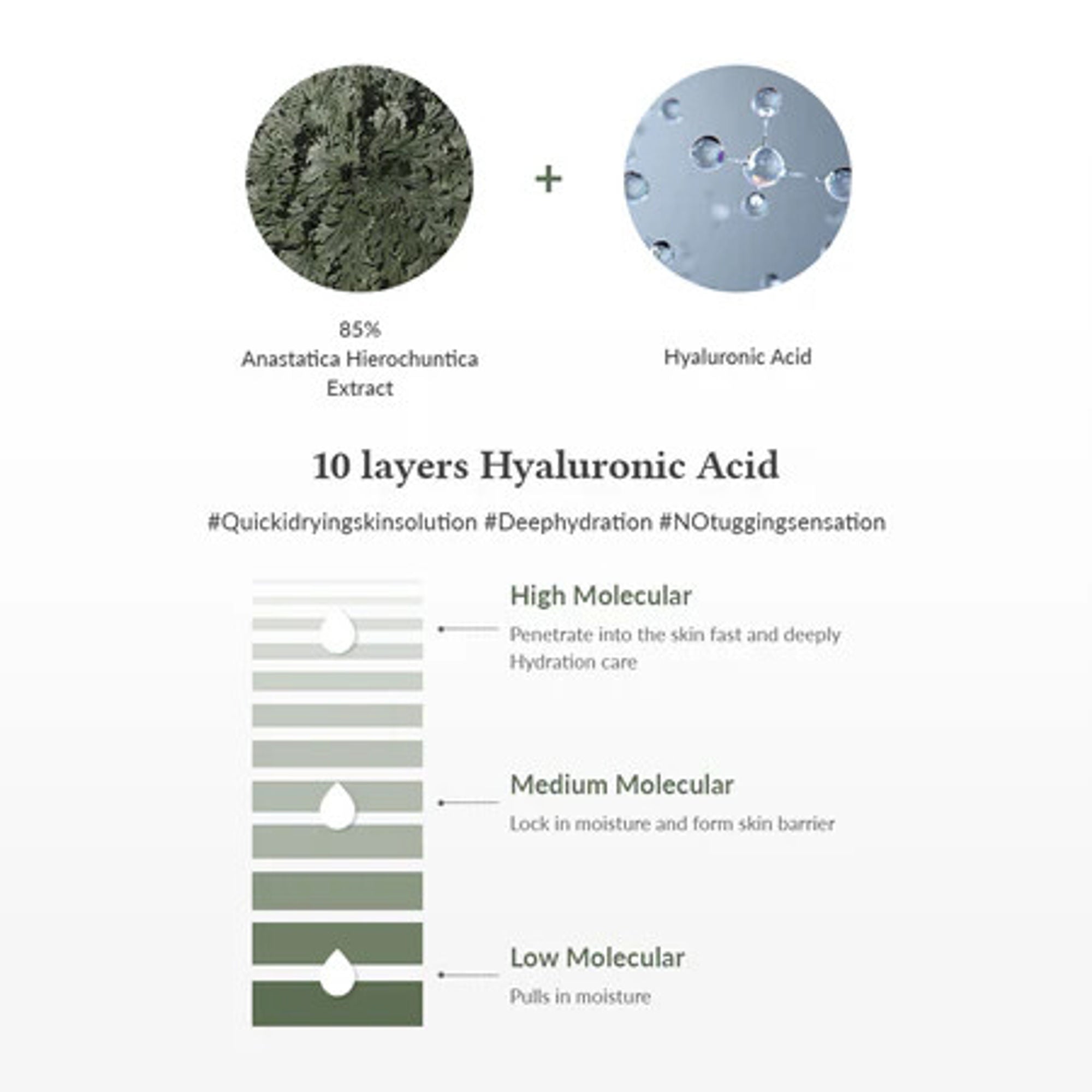 Dr.Althea Resurrection Plant Conditioning Toner: Hydrating & Skin Barrier Repair Toner - Distacart
