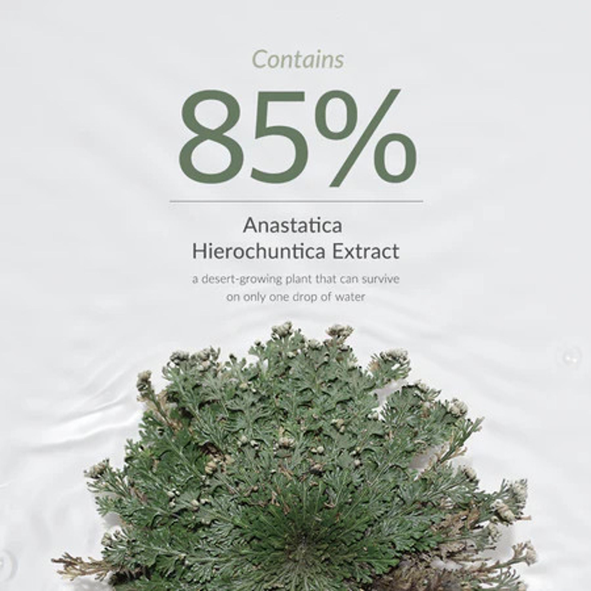 Dr.Althea Resurrection Plant Conditioning Toner: Hydrating & Skin Barrier Repair Toner - Distacart