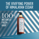 Thumbnail for Kama Ayurveda Himalayan Cedar Purifying Shampoo