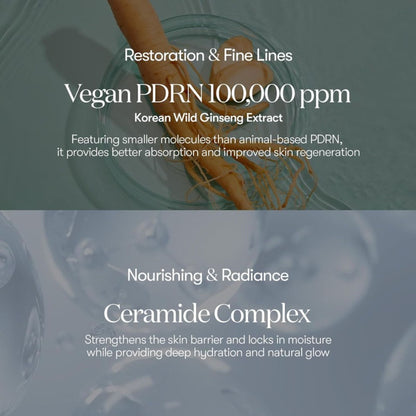 VT Cosmetics PDRN 100 Essence - Distacart