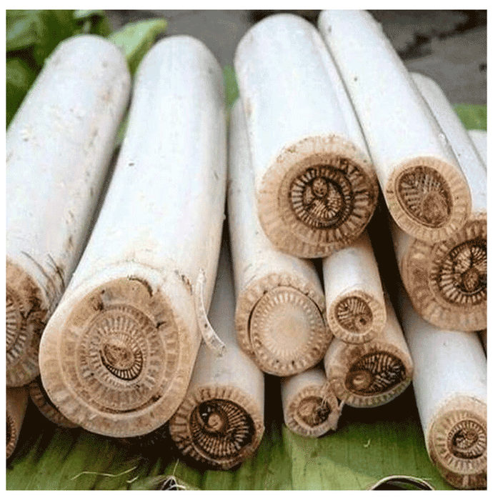 Minature Banana Stem Powder