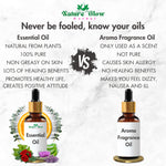 Thumbnail for Nature Glow Herbal Cedarwood Essential Oil - Distacart