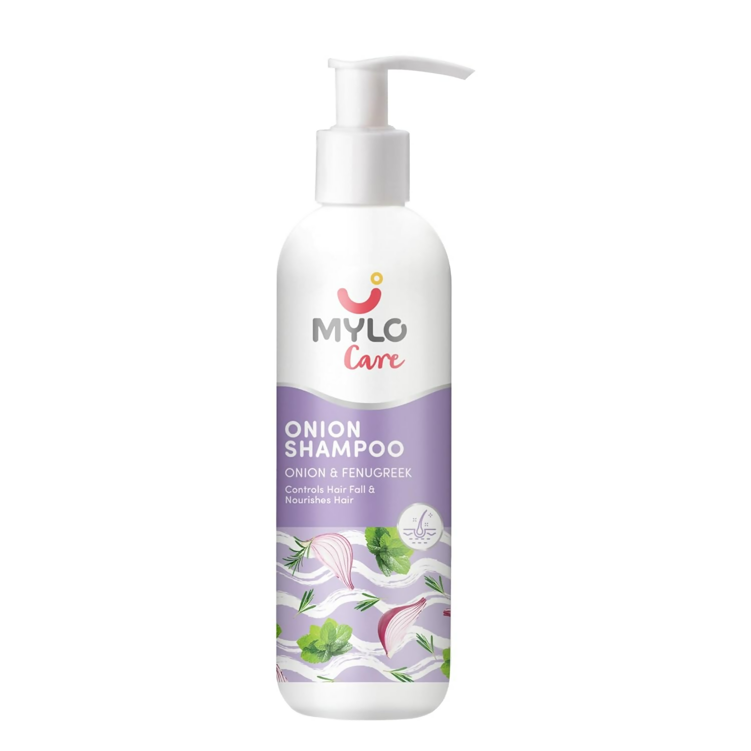 download - 2025-01-24T153341.738