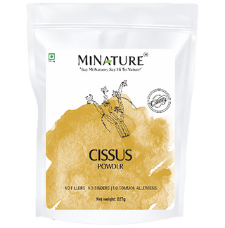 Minature Cissus Powder