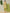 Yufta Green Peplum Dhoti Dupatta Set