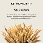 Thumbnail for Naturica Volumizing Experience Conditioner for Fine Hair, Restore Softness with Wheat Germ Protein - Distacart