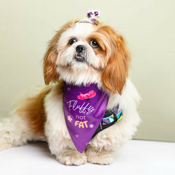 Waggety Dog Bandana - Fluffy Not Fat, Design Soft Fabric, Stylish Pet Accessory for Dogs - Purple - Dista