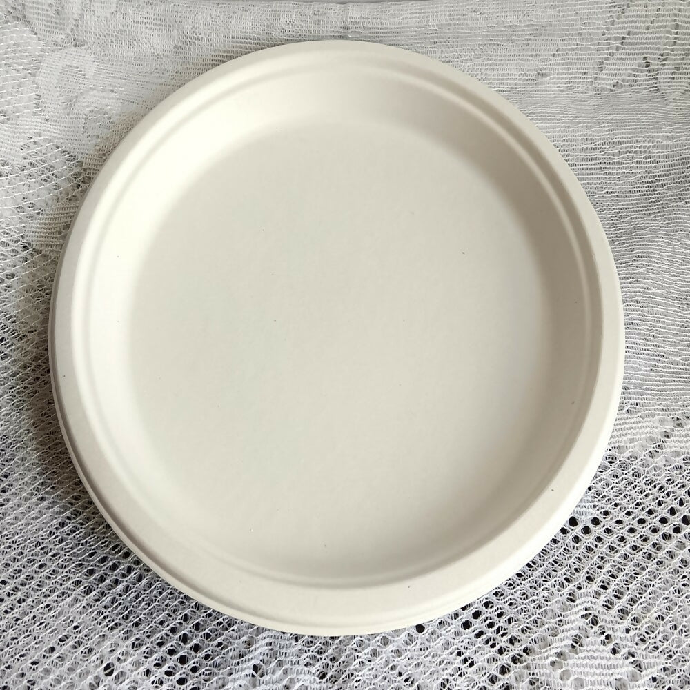 Disposable Round Plane Plates Big - Distacart