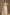 Joban Fashion Girl's Multi Color Lehenga Choli