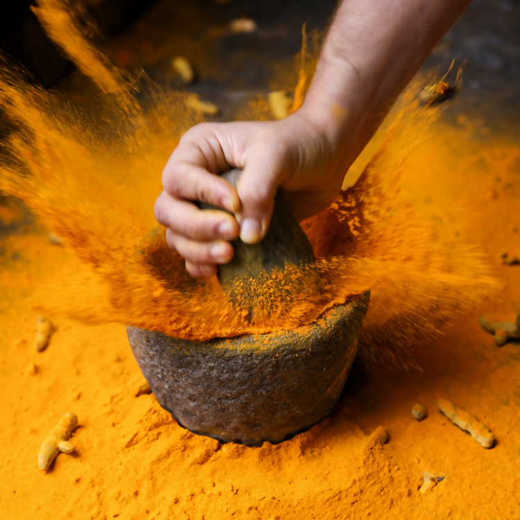 Priya Turmeric (Haldi) Powder