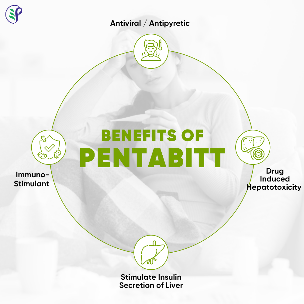 Pathak Ayurvedic Pharmacy Pentabitt Tablets - Distacart