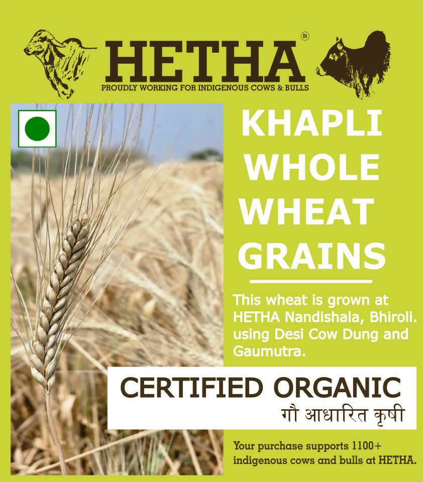 Organic_Khapli_or_Emmer_Whole_Wh