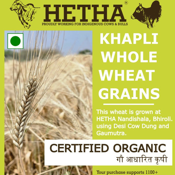 Organic_Khapli_or_Emmer_Whole_Wh