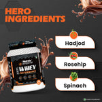 Thumbnail for Patanjali Nutrela Sports Whey Performance (Choc-irish)