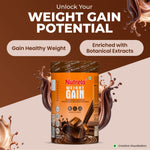 Thumbnail for Patanjali Nutrela Weight Gain Chocolate Flavour