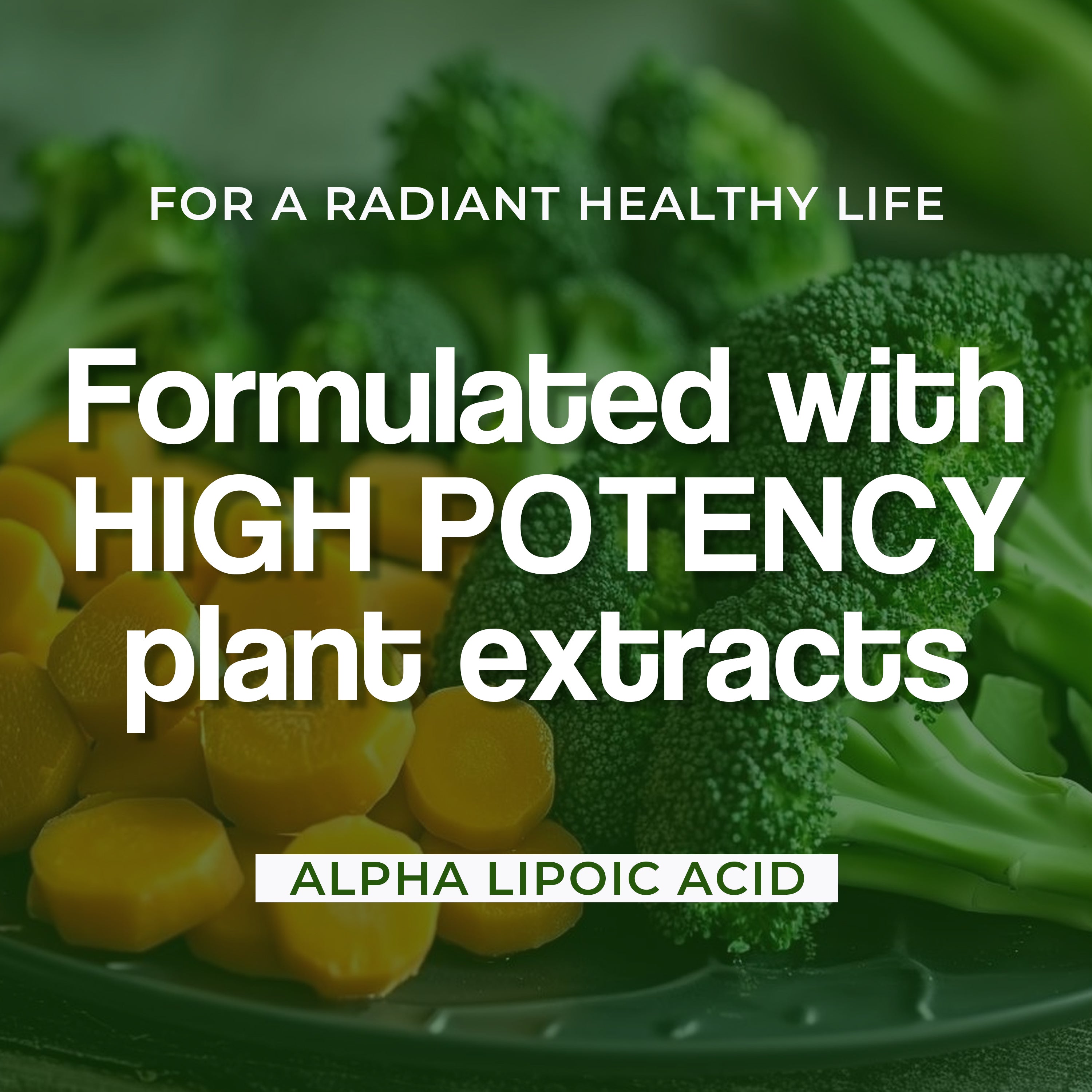 Health Veda Organics Alpha Lipoic Acid Capsules - Distacart