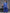 Ahalyaa Women Plus Size Cotton Tunic with Palazzos - Distacart