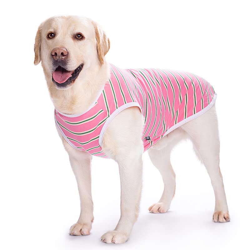 KUTKUT Cotton Striped Dog Shirts for Medium and Large Dogs