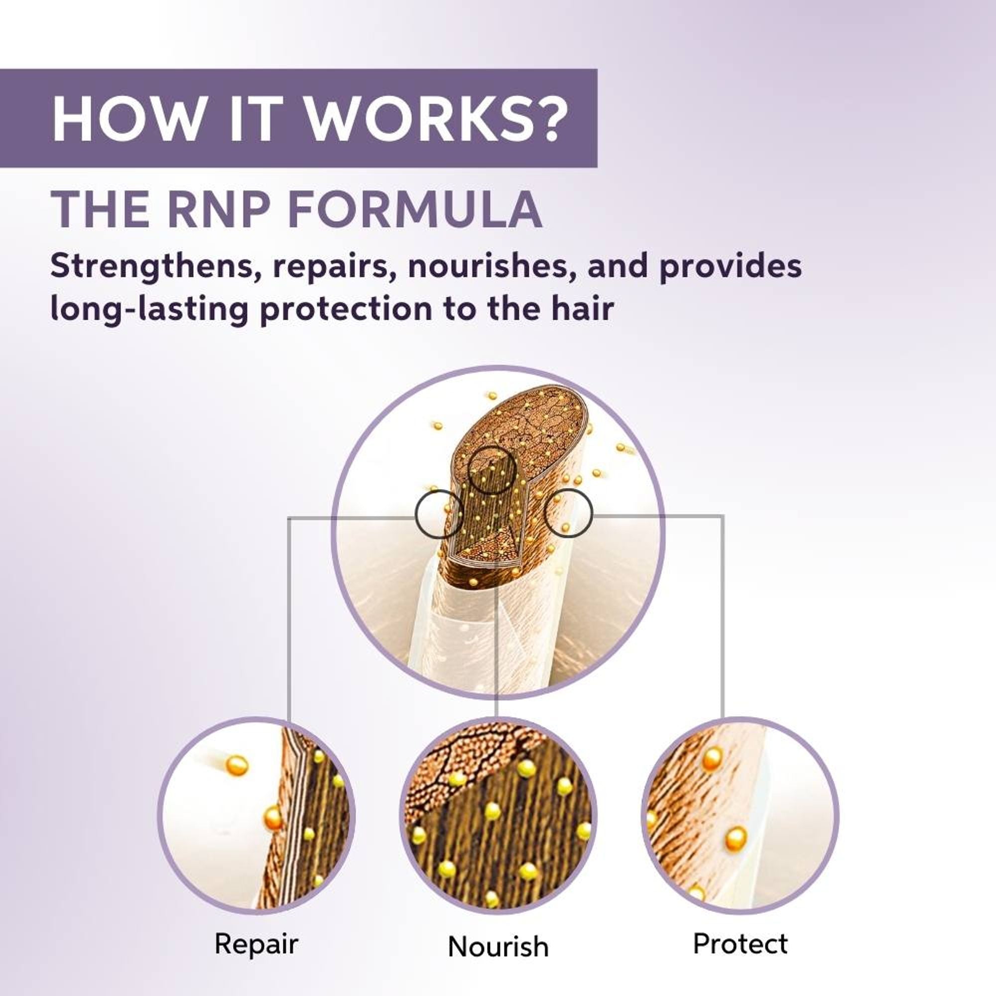 System Professional Repair Shampoo for Damaged Hair Strengthens & Restores - Distacart