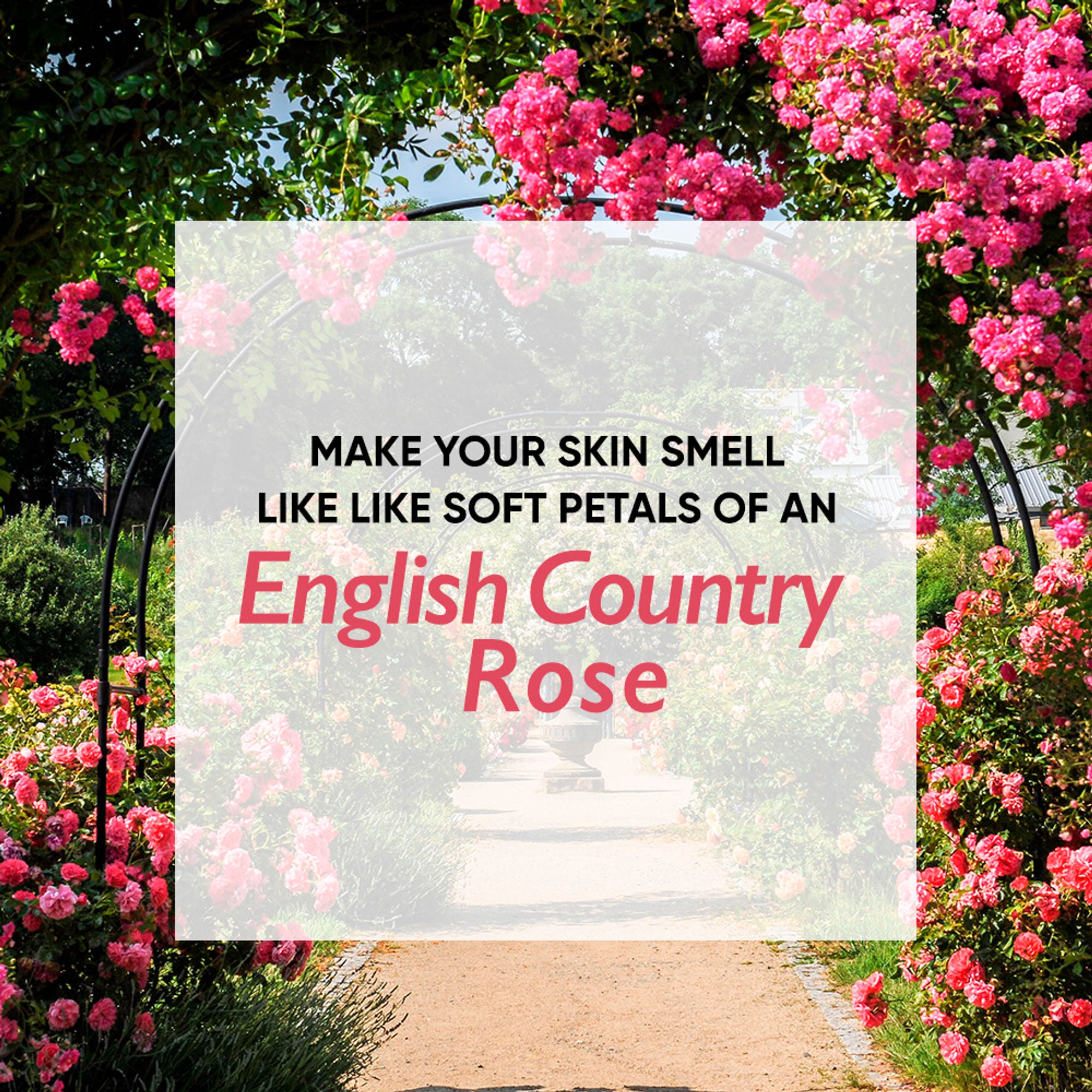 Wanderlust Moisturizing Body Lotion - Country Rose