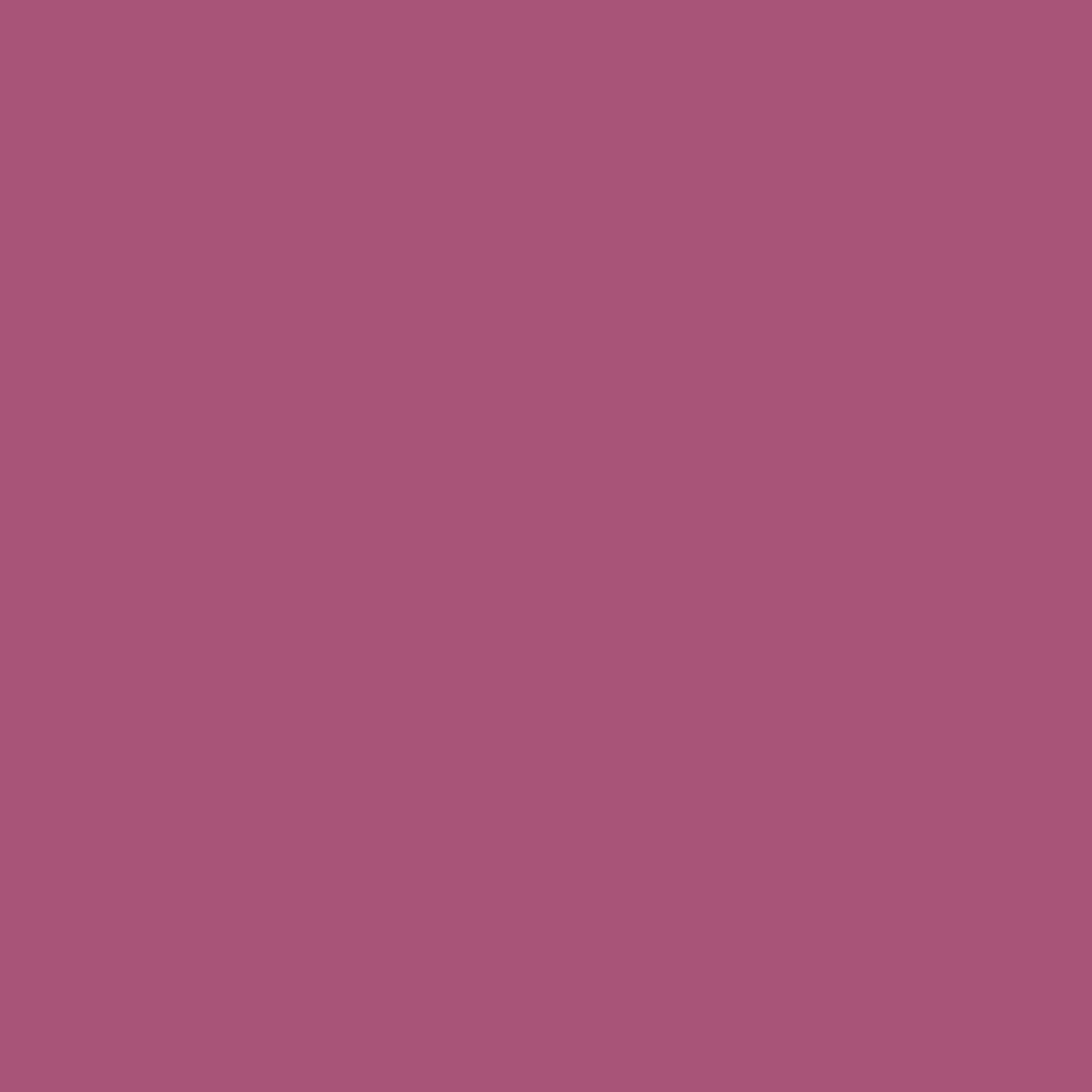 Shopaarel Silky Matte Gloss Liquid Lipstick - Rich-09 - Distacart