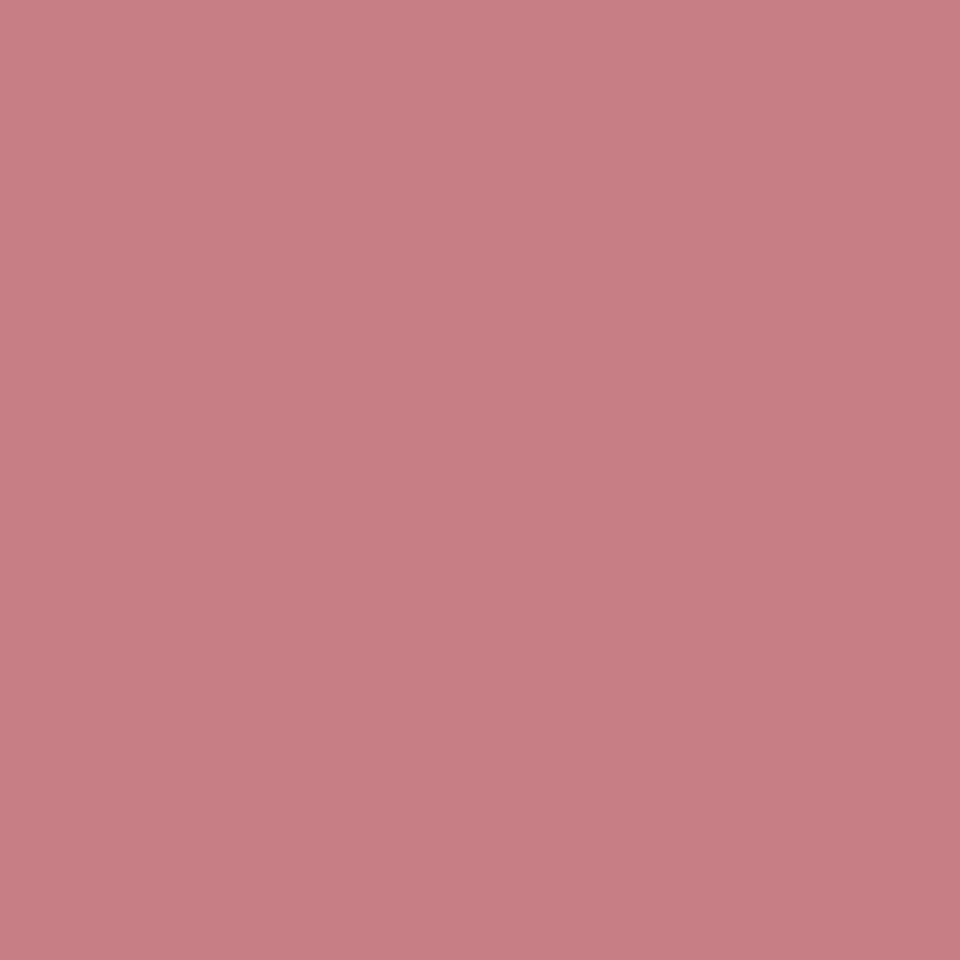 Shopaarel Silky Matte Gloss Liquid Lipstick - Charming-10 - Distacart